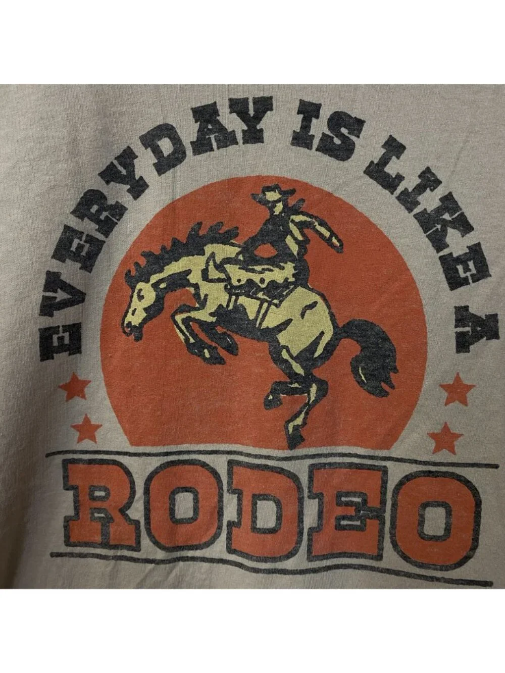 Junk Food Everyday is Like a Rodeo Graphic T-Shirt Medium